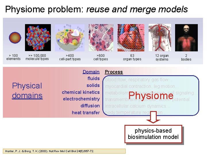 Physiome problem: reuse and merge models > 100 elements >> 100, 000 molecule types