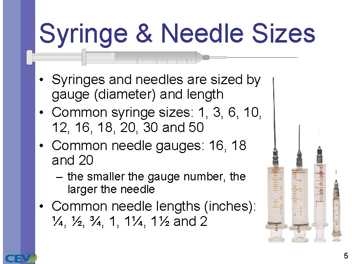 Syringe & Needle Sizes • Syringes and needles are sized by gauge (diameter) and