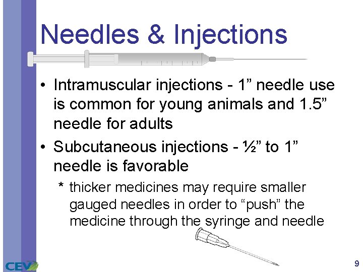Needles & Injections • Intramuscular injections - 1” needle use is common for young