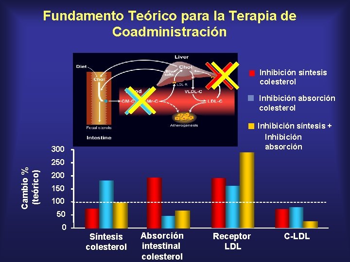 Fundamento Teórico para la Terapia de Coadministración Inhibición síntesis colesterol Inhibición absorción colesterol Inhibición