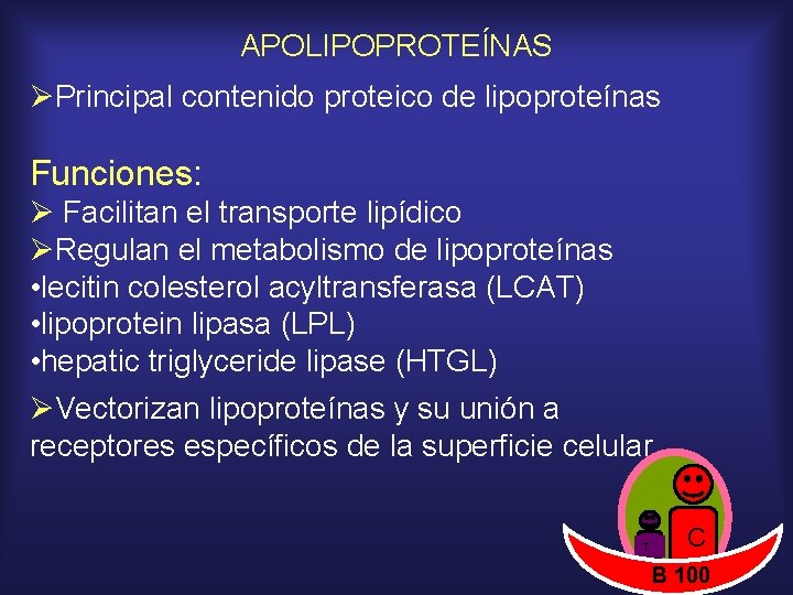 APOLIPOPROTEÍNAS ØPrincipal contenido proteico de lipoproteínas Funciones: Ø Facilitan el transporte lipídico ØRegulan el