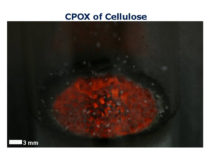 CPOX of Cellulose 3 mm Dauenhauer (UMass) and Schmidt (UMN) 
