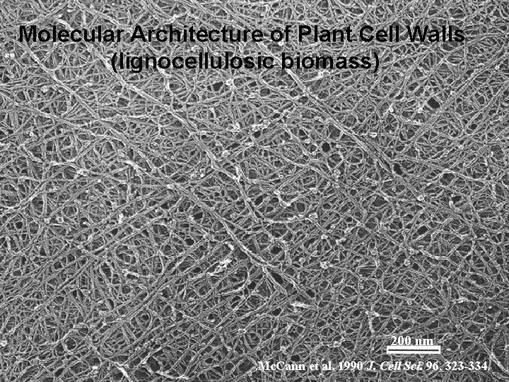 Molecular Architecture of Plant Cell Walls (lignocellulosic biomass) 200 nm Mc. Cann et al.
