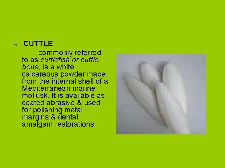 Ä CUTTLE commonly referred to as cuttlefish or cuttle bone, is a white calcareous