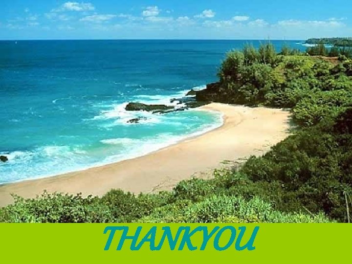 THANKYOU 