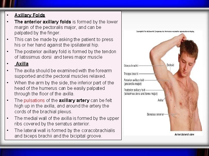  • • • Axillary Folds The anterior axillary folds is formed by the