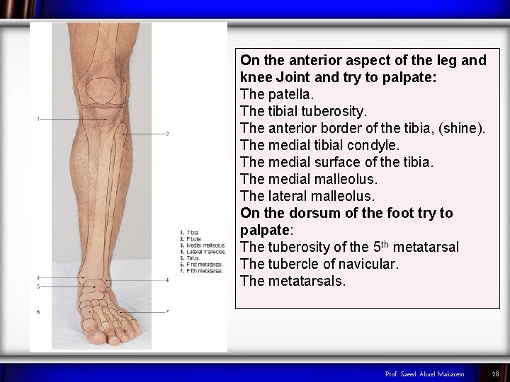 On the anterior aspect of the leg and knee Joint and try to palpate: