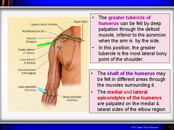  • The greater tubercle of humerus can be felt by deep palpation through