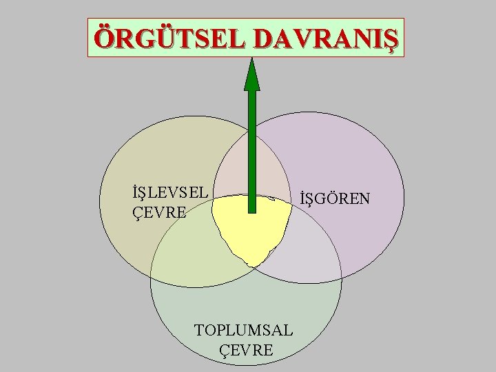 ÖRGÜTSEL DAVRANIŞ İŞLEVSEL ÇEVRE TOPLUMSAL ÇEVRE İŞGÖREN 