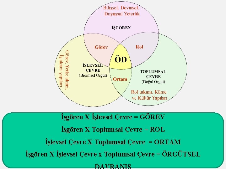 İşgören X İşlevsel Çevre = GÖREV İşgören X Toplumsal Çevre = ROL İşlevsel Çevre