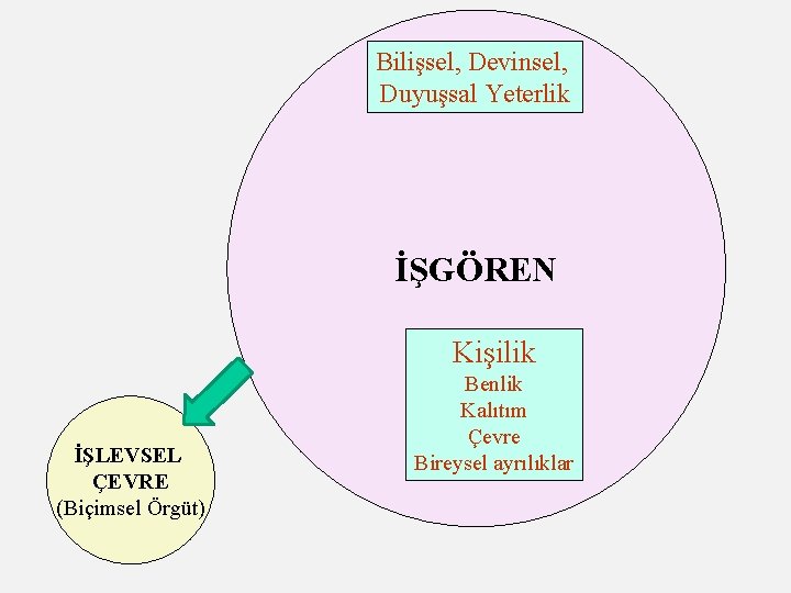 Bilişsel, Devinsel, Duyuşsal Yeterlik İŞGÖREN Kişilik İŞLEVSEL ÇEVRE (Biçimsel Örgüt) Benlik Kalıtım Çevre Bireysel