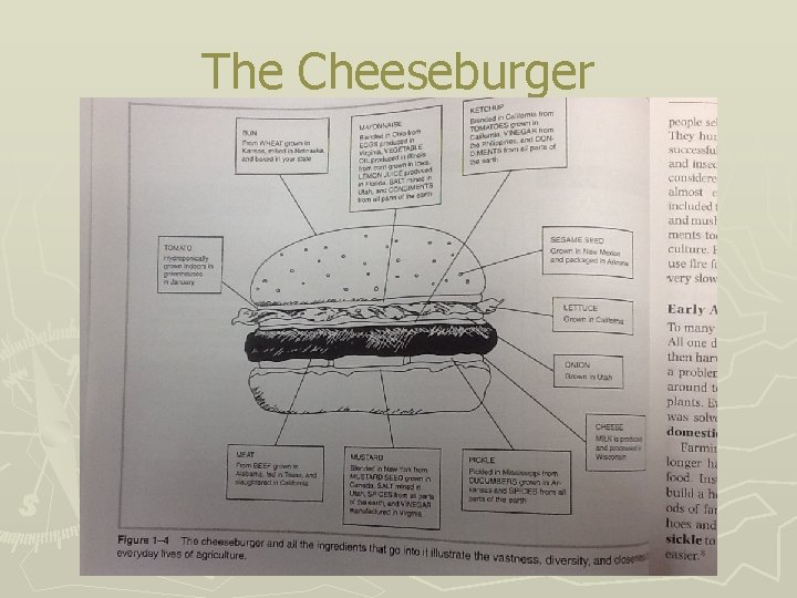 The Cheeseburger 