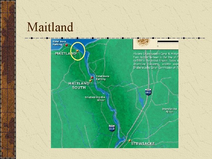 Maitland 