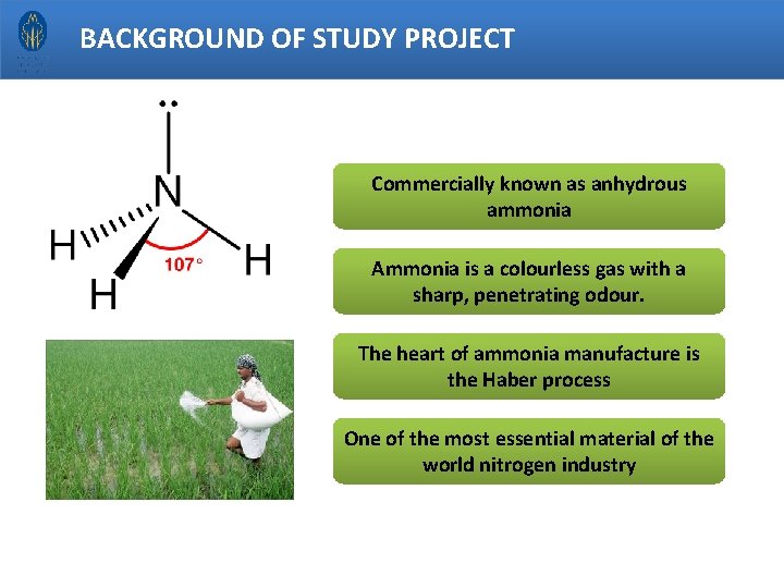 BACKGROUND OF STUDY PROJECT Commercially known as anhydrous ammonia Ammonia is a colourless gas