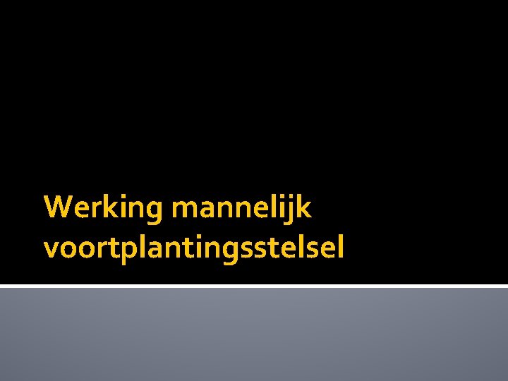 Werking mannelijk voortplantingsstelsel 