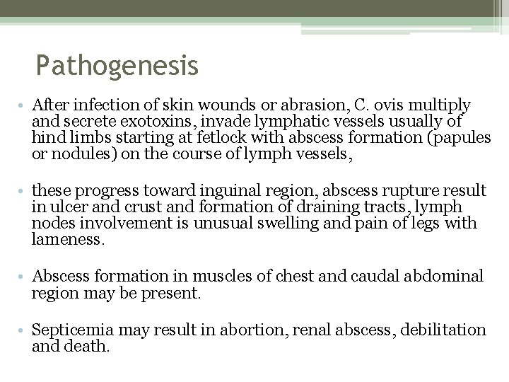 Pathogenesis • After infection of skin wounds or abrasion, C. ovis multiply and secrete