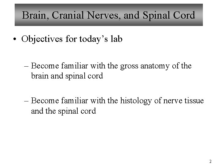 Brain, Cranial Nerves, and Spinal Cord • Objectives for today’s lab – Become familiar