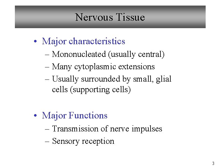 Nervous Tissue • Major characteristics – Mononucleated (usually central) – Many cytoplasmic extensions –