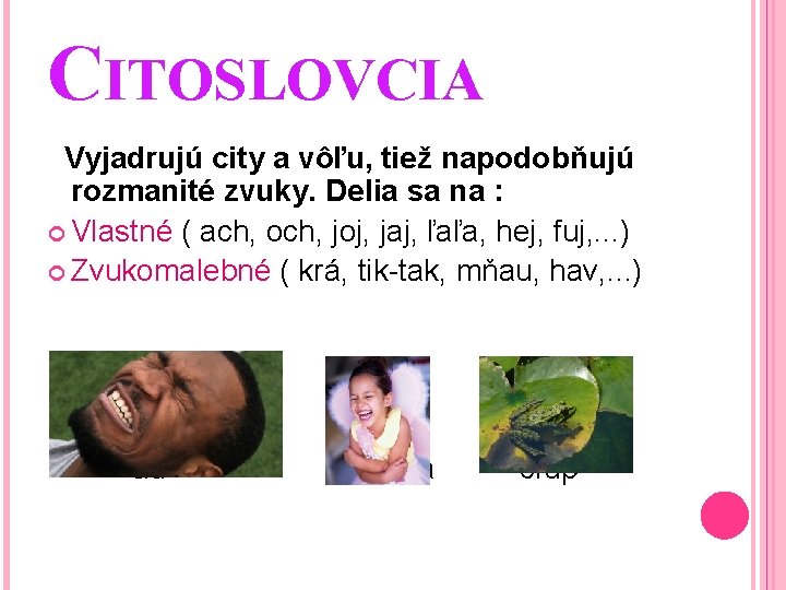 CITOSLOVCIA Vyjadrujú city a vôľu, tiež napodobňujú rozmanité zvuky. Delia sa na : Vlastné