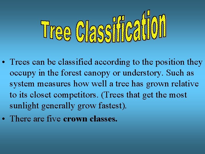  • Trees can be classified according to the position they occupy in the