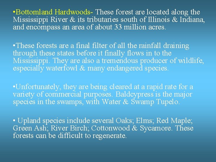  • Bottomland Hardwoods- These forest are located along the Mississippi River & its