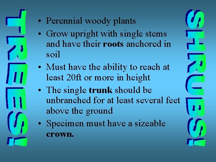  • Perennial woody plants • Grow upright with single stems and have their