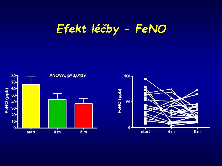 Efekt léčby - Fe. NO 