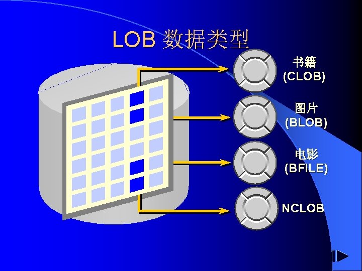 LOB 数据类型 书籍 (CLOB) 图片 (BLOB) 电影 (BFILE) NCLOB 