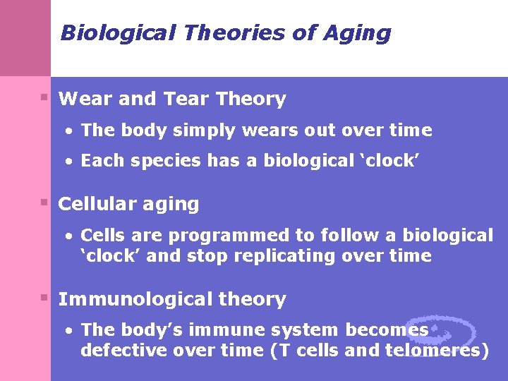 Biological Theories of Aging § Wear and Tear Theory • The body simply wears