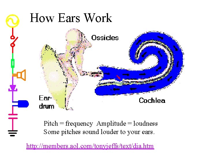 How Ears Work Pitch = frequency Amplitude = loudness Some pitches sound louder to