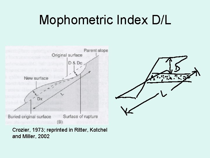 Mophometric Index D/L Crozier, 1973; reprinted in Ritter, Kotchel and Miller, 2002 