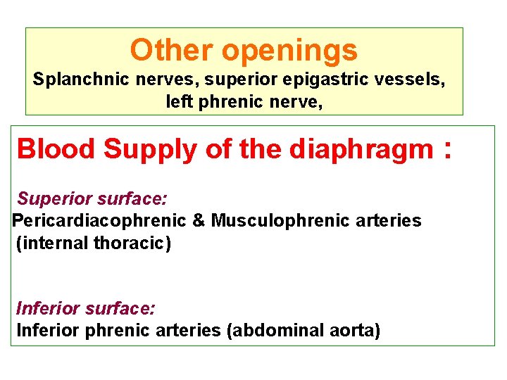 Other openings Splanchnic nerves, superior epigastric vessels, left phrenic nerve, Blood Supply of the Other openings Splanchnic nerves, superior epigastric vessels, left phrenic nerve, Blood Supply of the