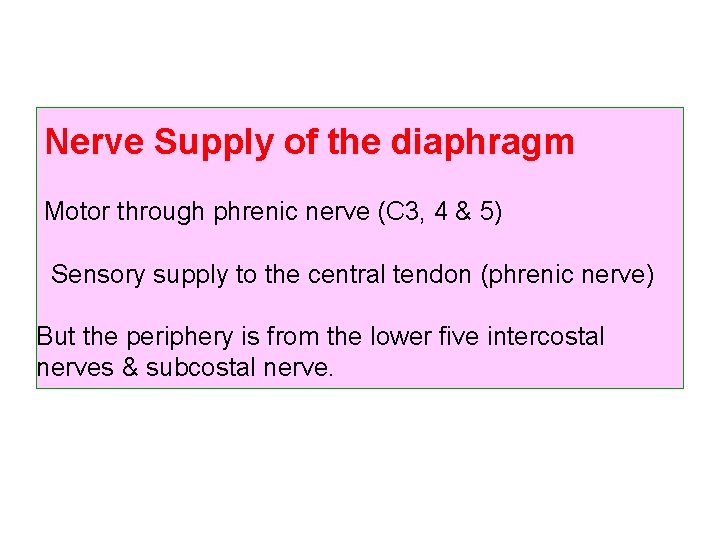 Nerve Supply of the diaphragm Motor through phrenic nerve (C 3, 4 & 5)