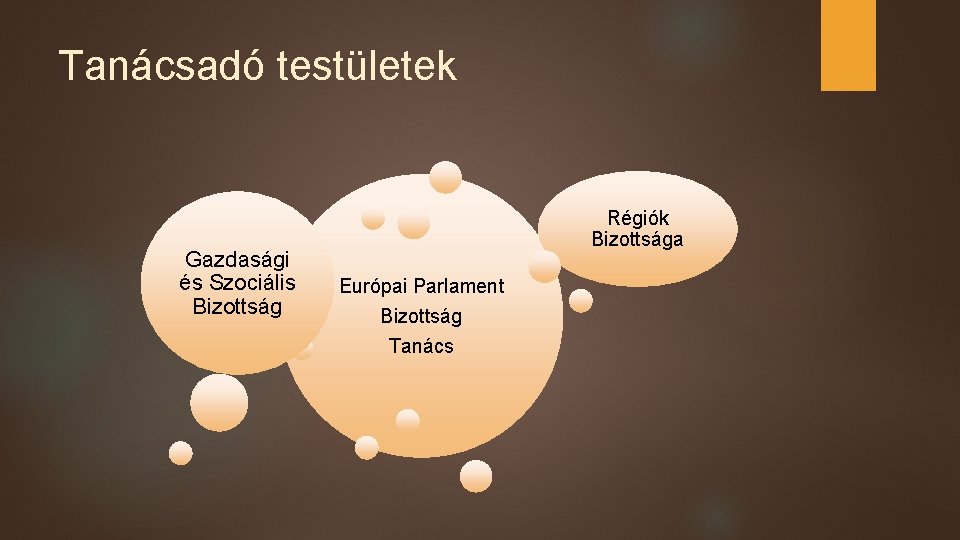 Tanácsadó testületek Gazdasági és Szociális Bizottság Régiók Bizottsága Európai Parlament Bizottság Tanács 