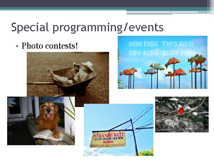 Special programming/events • Photo contests! 