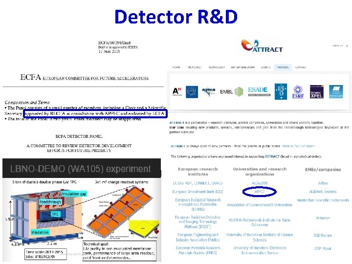 Detector R&D 