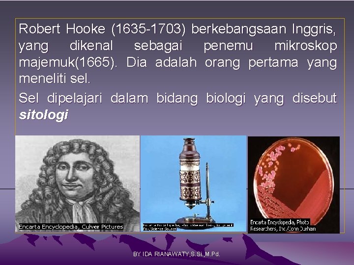 Robert Hooke (1635 -1703) berkebangsaan Inggris, yang dikenal sebagai penemu mikroskop majemuk(1665). Dia adalah