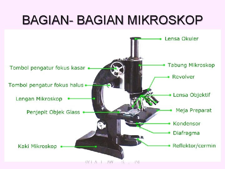 BAGIAN- BAGIAN MIKROSKOP BY IDA RIANAWATY, S. Si. , M. Pd. 