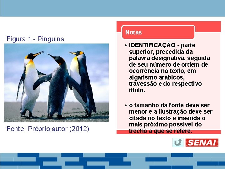 Figura 1 - Pinguins Fonte: Próprio autor (2012) Notas • IDENTIFICAÇÃO - parte superior,