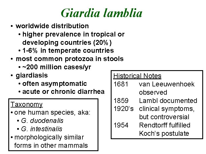 Giardia lamblia • worldwide distribution • higher prevalence in tropical or developing countries (20%)