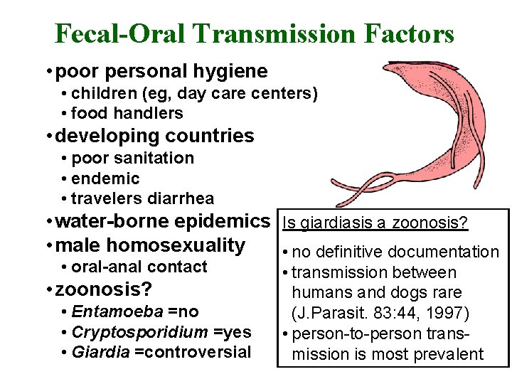 Fecal-Oral Transmission Factors • poor personal hygiene • children (eg, day care centers) •