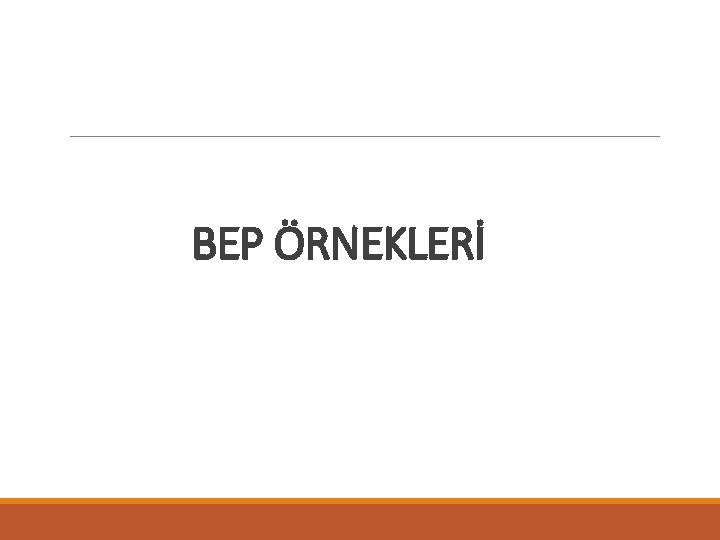 BEP ÖRNEKLERİ 