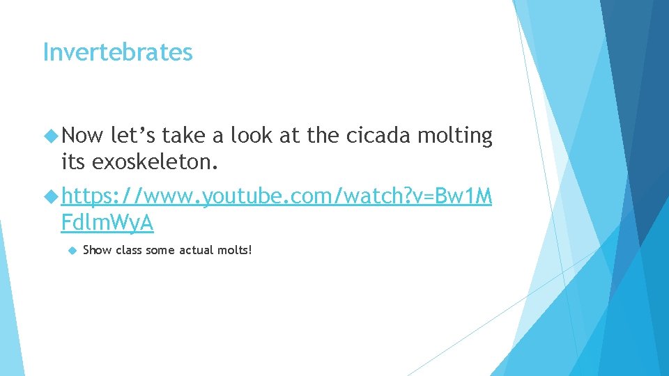 Invertebrates Now let’s take a look at the cicada molting its exoskeleton. https: //www.