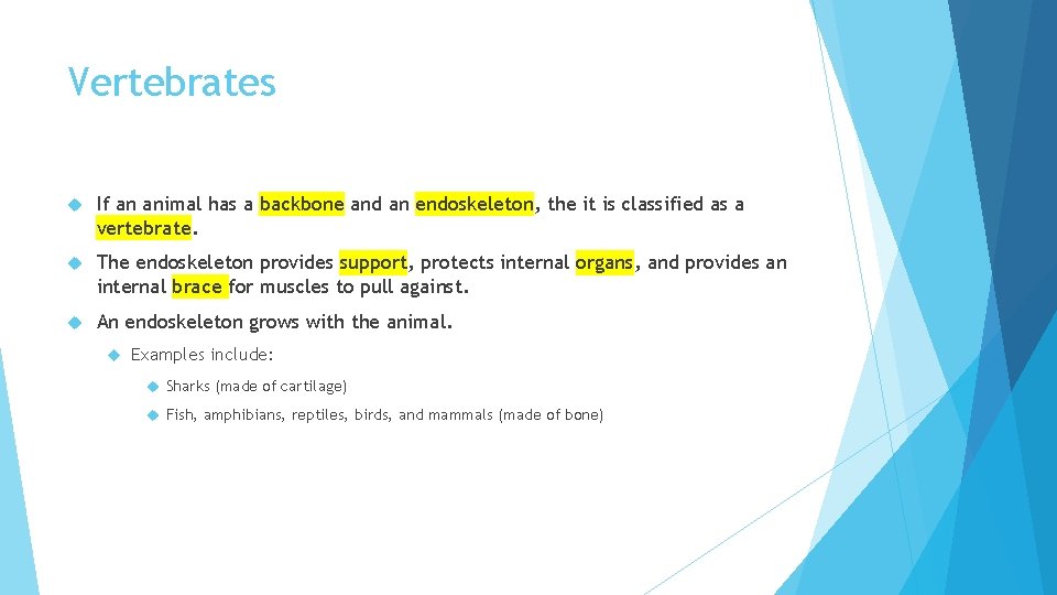 Vertebrates If an animal has a backbone and an endoskeleton, the it is classified