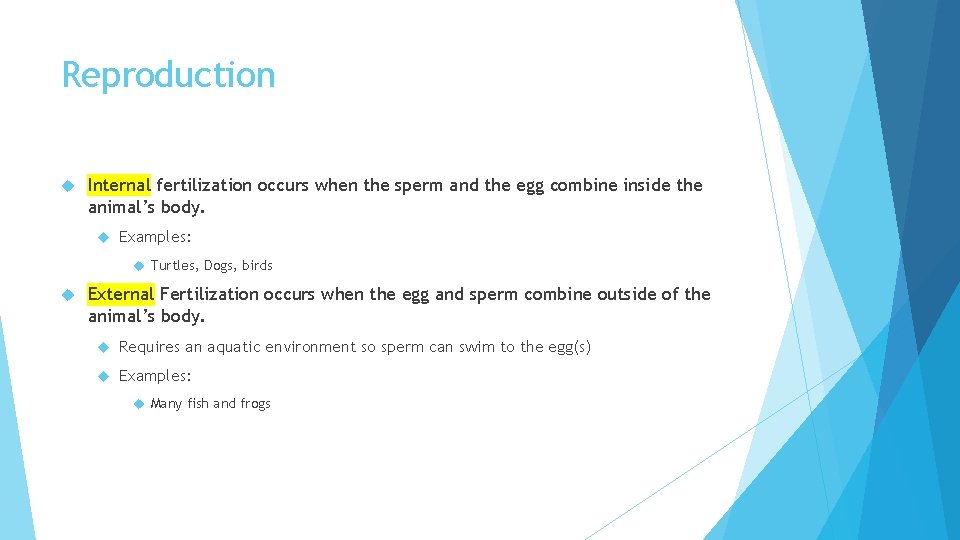 Reproduction Internal fertilization occurs when the sperm and the egg combine inside the animal’s