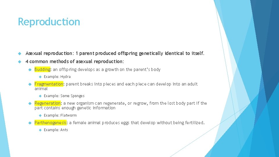 Reproduction Asexual reproduction: 1 parent produced offspring genetically identical to itself. 4 common methods