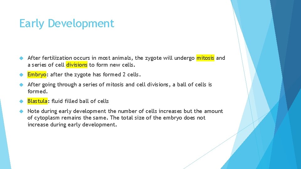 Early Development After fertilization occurs in most animals, the zygote will undergo mitosis and