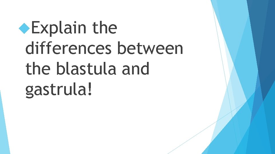  Explain the differences between the blastula and gastrula! 