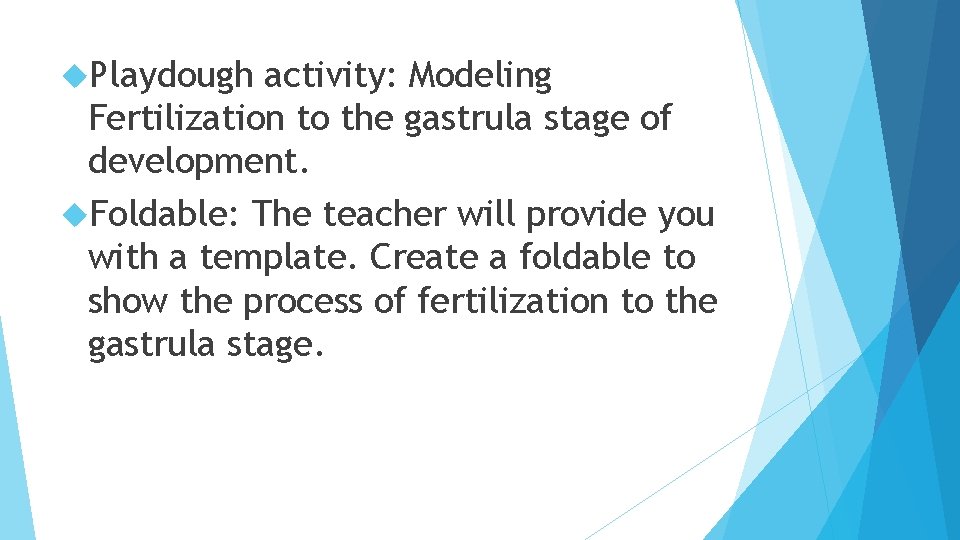  Playdough activity: Modeling Fertilization to the gastrula stage of development. Foldable: The teacher