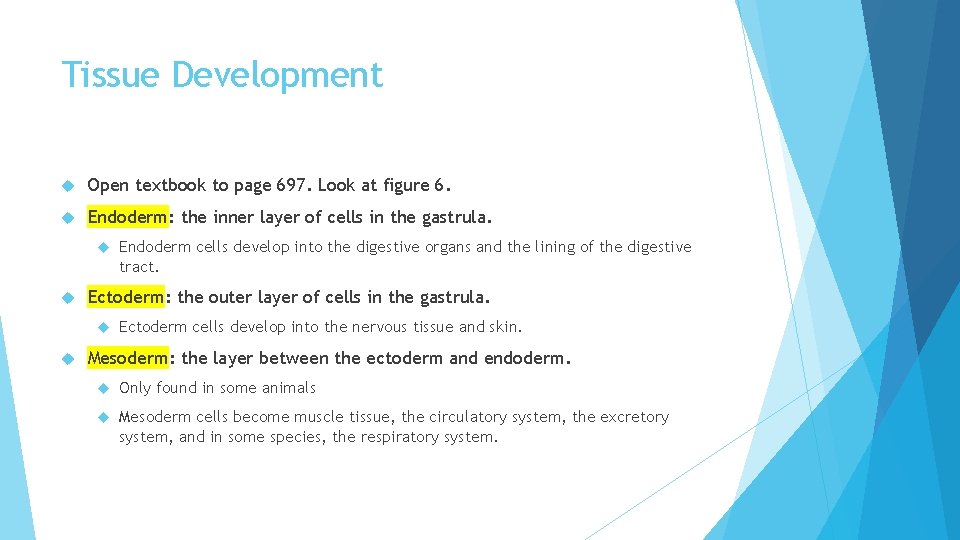 Tissue Development Open textbook to page 697. Look at figure 6. Endoderm: the inner